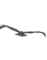 flake