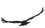 flake