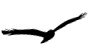 flake